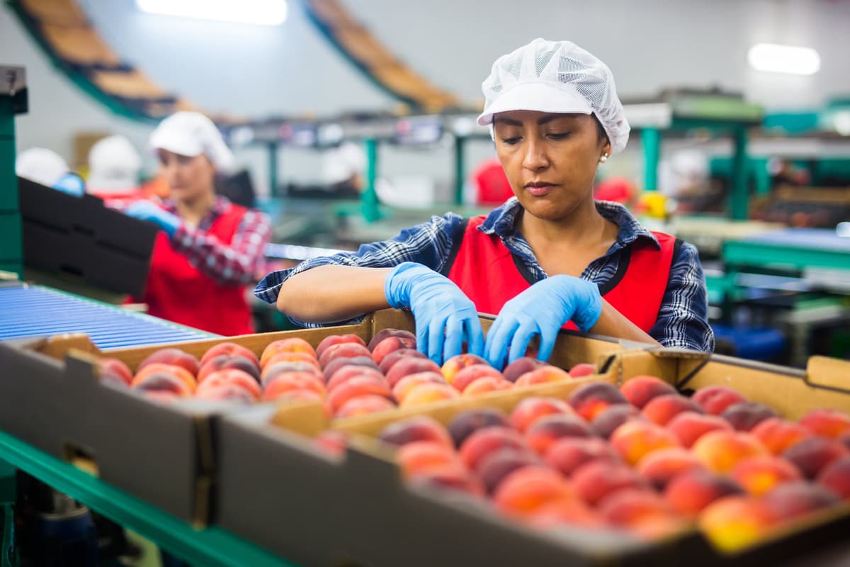 Factory workers collaborating in manufacturing environment