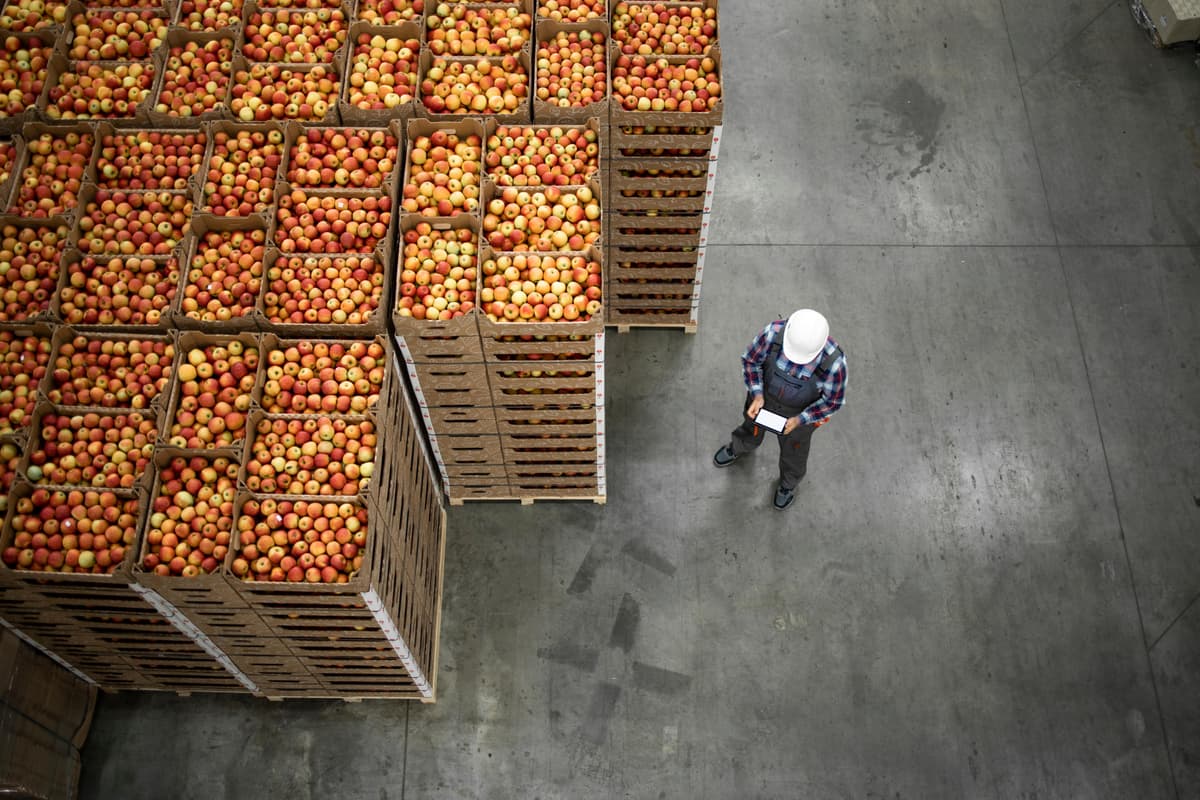 Factory workers collaborating in manufacturing environment